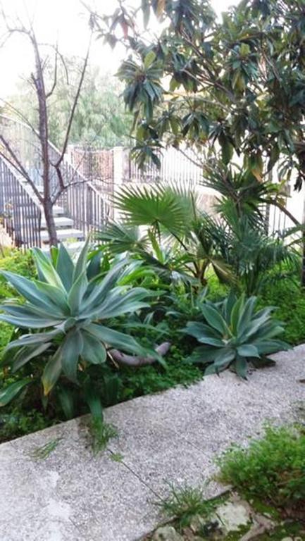 Casa Roby 120 Mt Beach Fontane Bianche Dış mekan fotoğraf
